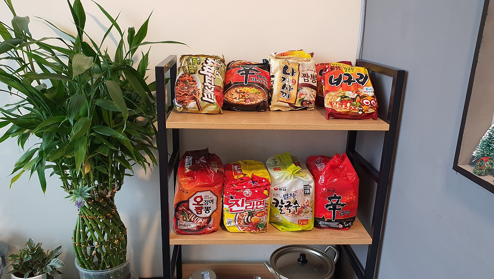 이미지